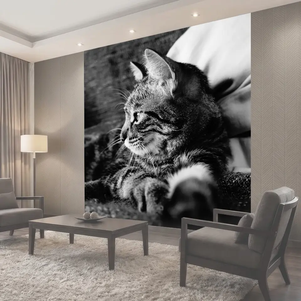 Фотообои Кошка, полосатая кошка, черный и белый