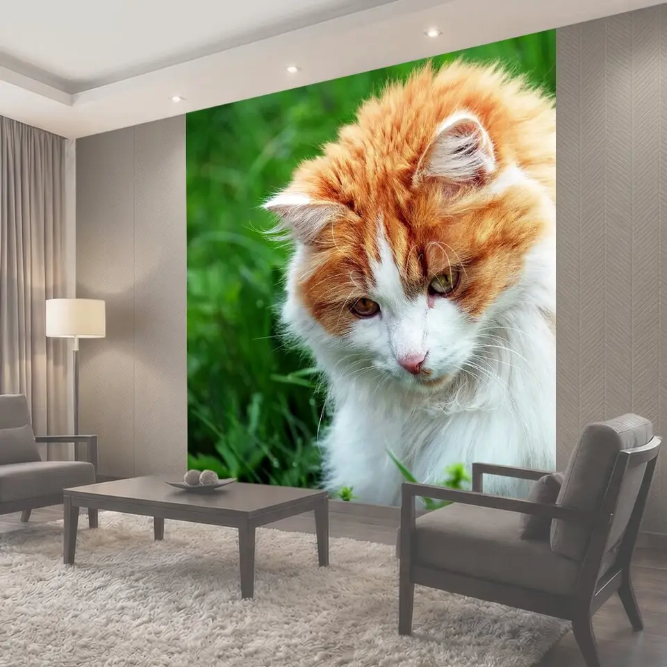 Фотообои Кот, похмелье, красное похмелье