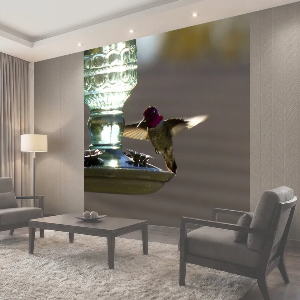 Фотообои Колибри в полете Hummingbird в