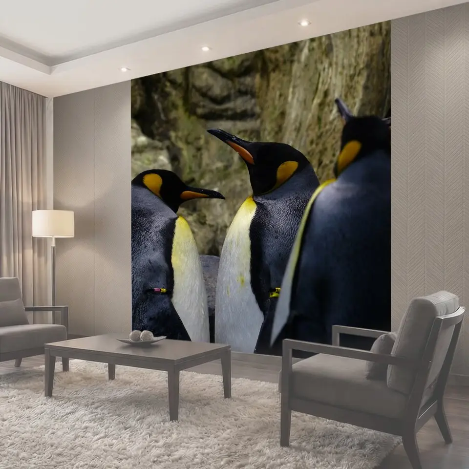 Фотообои Королевские пингвины, пингвины, бикс