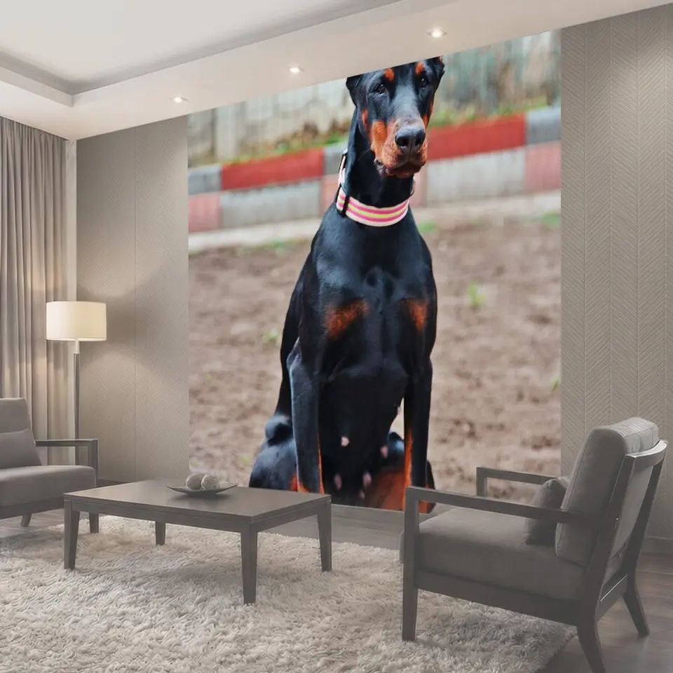 Фотообои Доберман, собака, дом