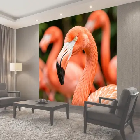 Фотообои Розовый фламинго крупным планом