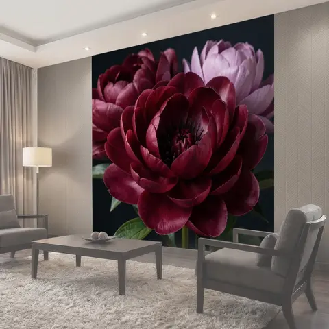 Фотообои Бордовые и белые пионы