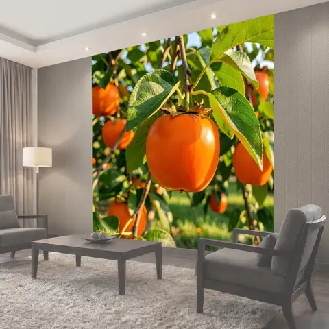 Фотообои Спелые хурма на дереве