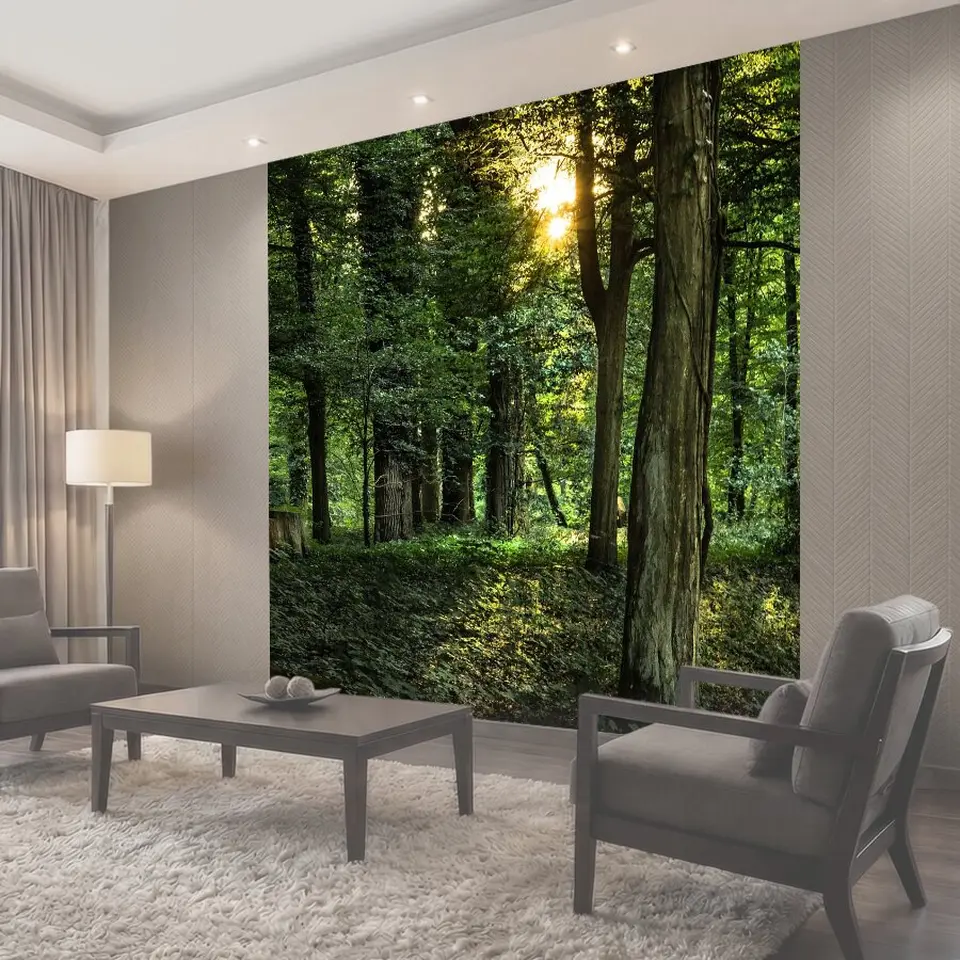Фотообои Лес, деревья, большое количество естественного света