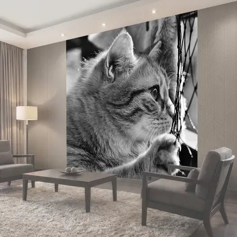 Фотообои Кот, похмелье, черно-белый