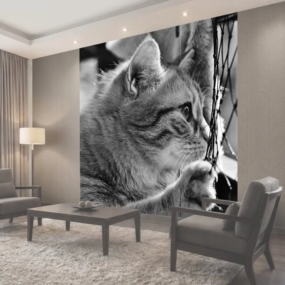 Фотообои Кот, похмелье, черно-белый