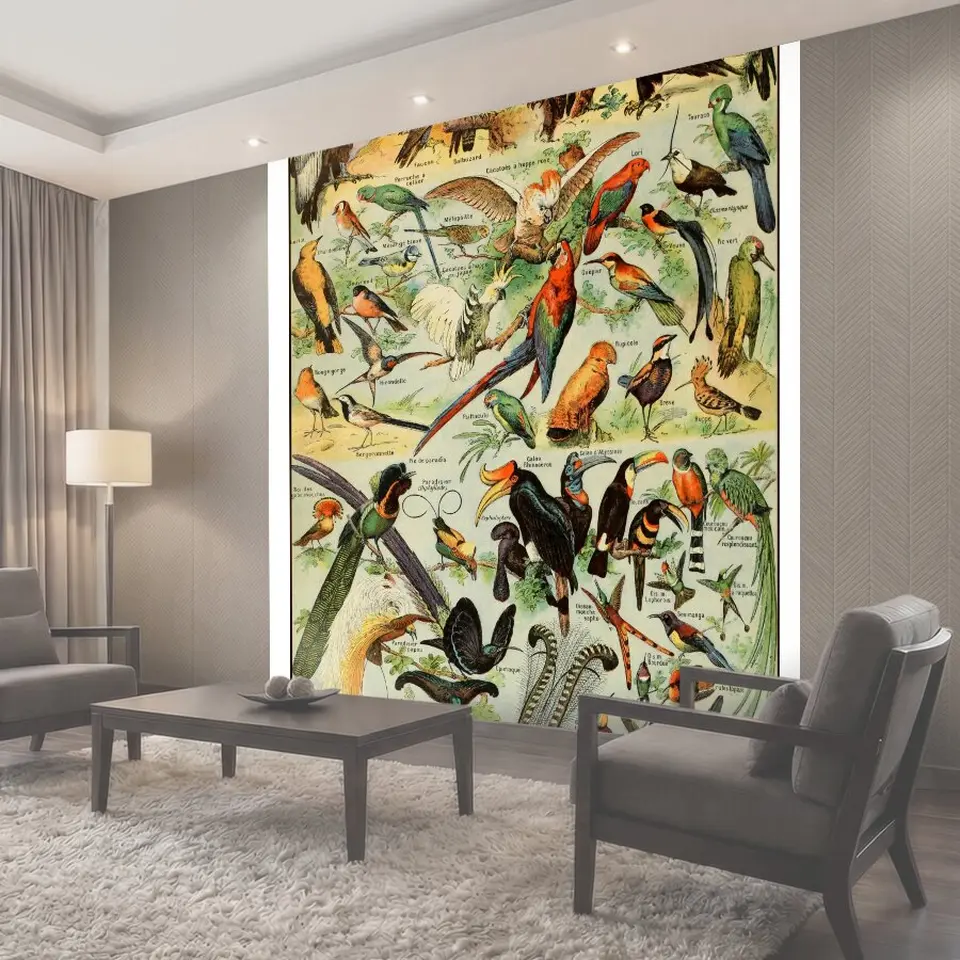 Фотообои Vintage Birds Art Print Старинный французский художественный принт различных названных пород птиц птица…