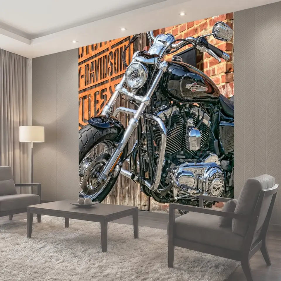 Фотообои Мотоцикл, harley davidson, харли