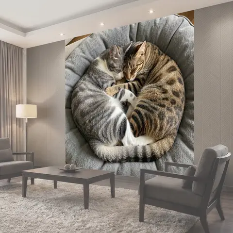 Фотообои Два спящих кота в объятиях