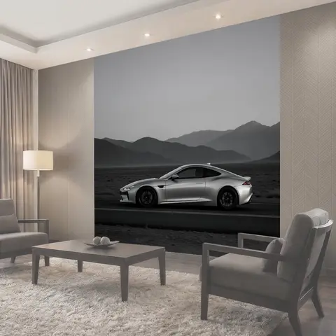 Фотообои Спортивное купе на шоссе