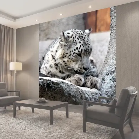 Фотообои Снежный барс, ирбус, снежный леопард