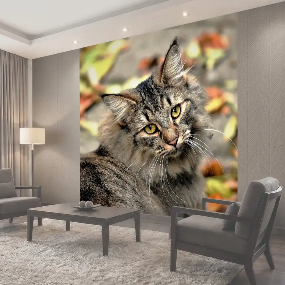 Фотообои Кот, соседние кошки, дикий кот