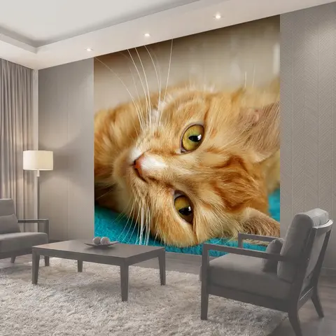 Фотообои Веснушка, кошка, рыжая