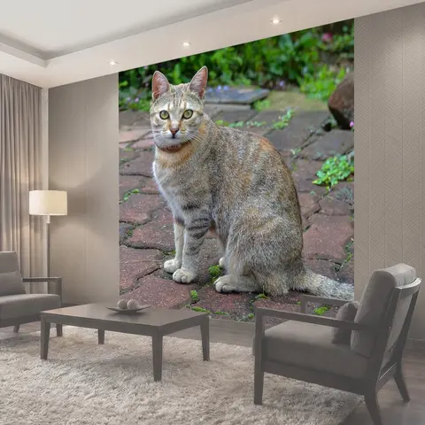 Фотообои Кошка, кошачий, полосатый