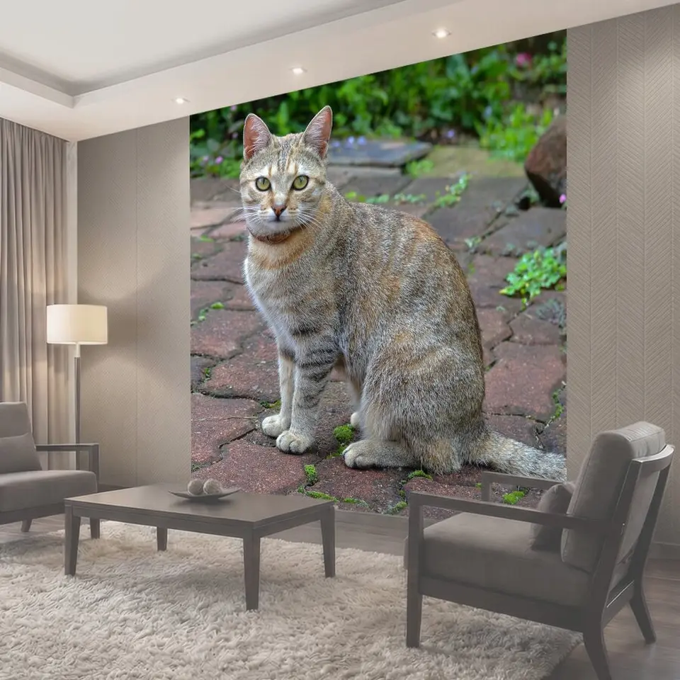 Фотообои Кошка, кошачий, полосатый