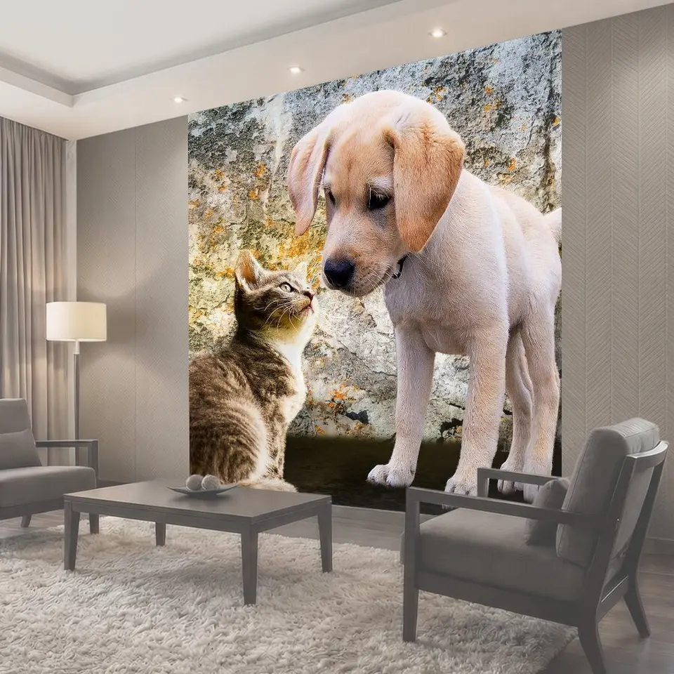 Фотообои Животные, собака, кот