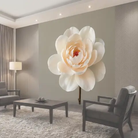 Фотообои Нежный белый цветок крупным планом