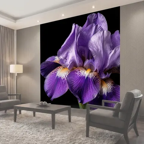 Фотообои Фиолетовый ирис крупным планом
