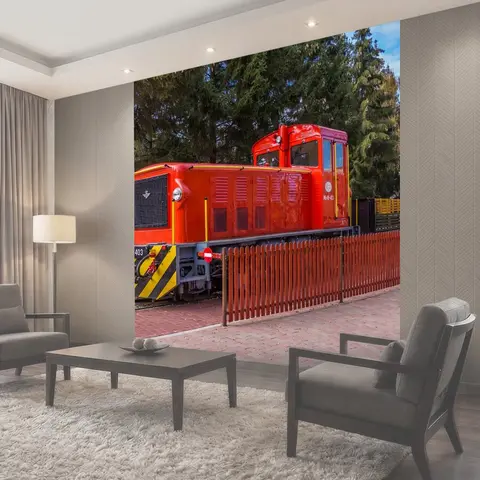 Фотообои Поезд, путешествия, железнодорожные
