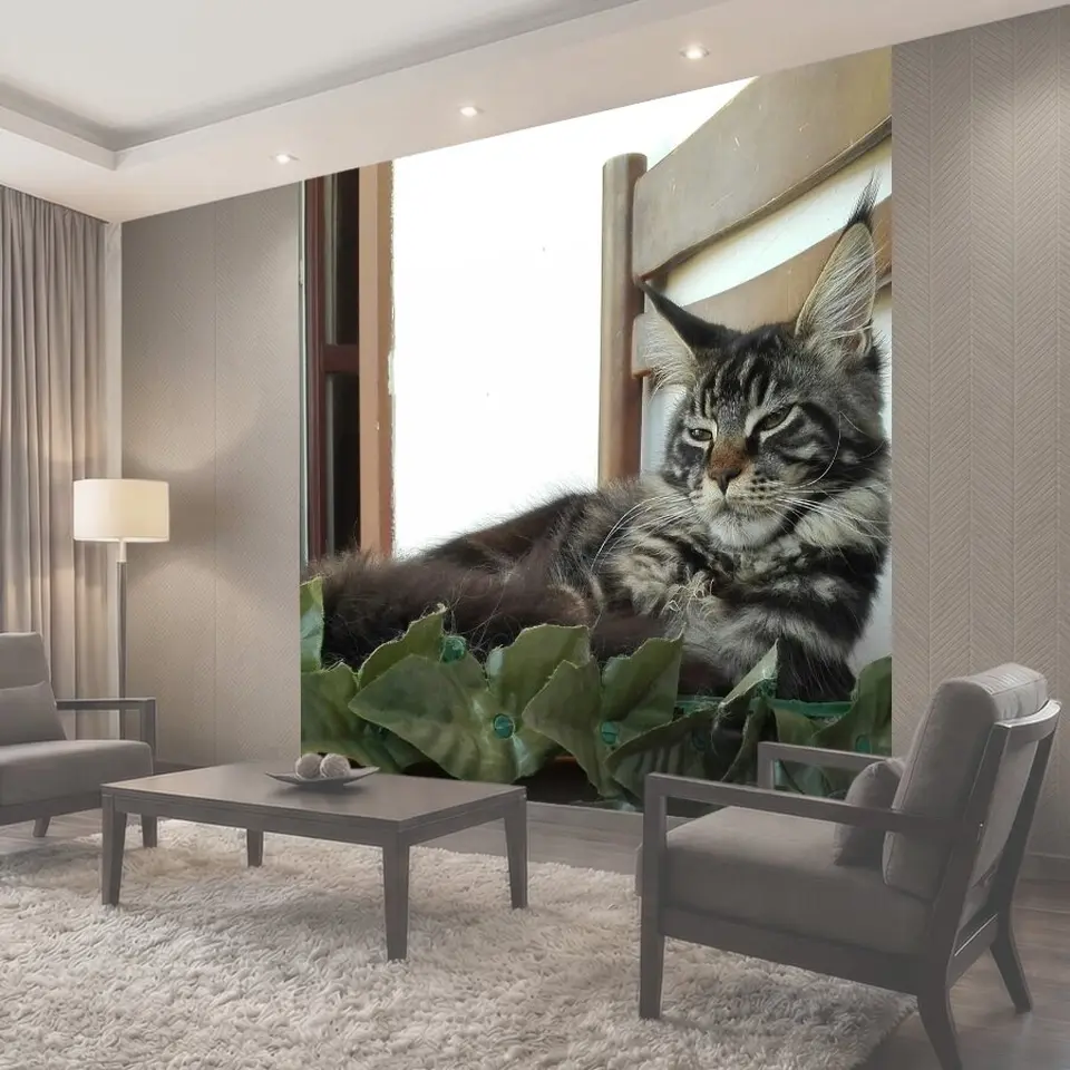 Фотообои Мейн-кун, спящие кошки, кошка