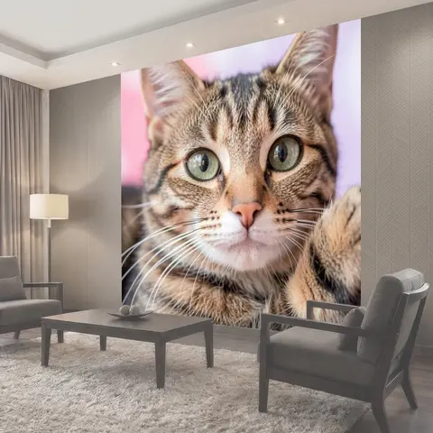 Фотообои Крупный план полосатого кота