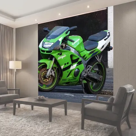 Фотообои Зеленый Мотоцикл Kawasaki Ninja