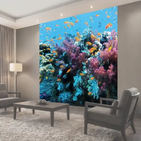 Фотообои Подводный, море, рыбы