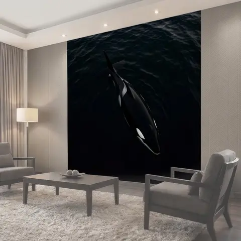 Фотообои Косатка в темной воде