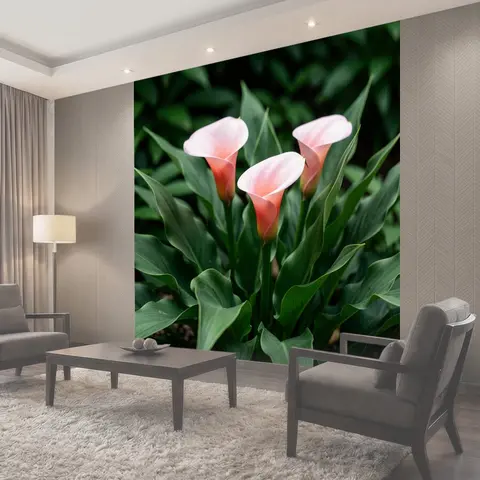 Фотообои Розовые каллы среди зелени