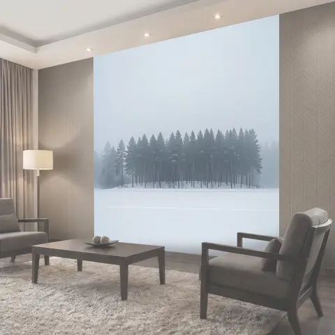 Фотообои Заснеженный хвойный лес в тумане