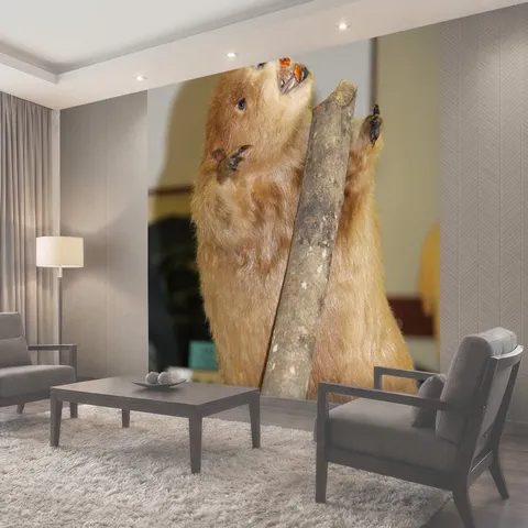 Фотообои Таксидермия Beaver Закрыть вверх выстрел из таксидермия бобра с деталями зубов, меха