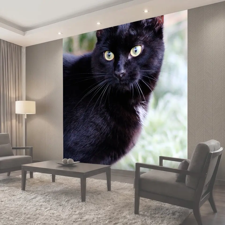 Фотообои Кошка, черный кот, домашний питомец