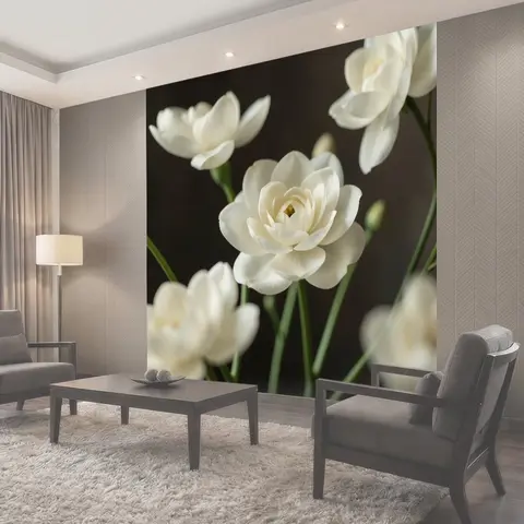 Фотообои Белые цветы на темном фоне