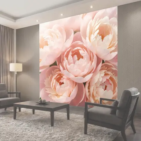 Фотообои Нежные розовые цветы крупным планом