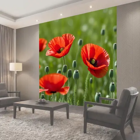 Фотообои Ярко-красные маки на фоне зеленых лугов