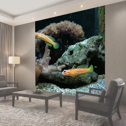 Фотообои Морской рыбы, аквариумные рыбки, аквариум