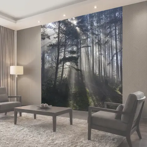 Фотообои Осень, туман, лес