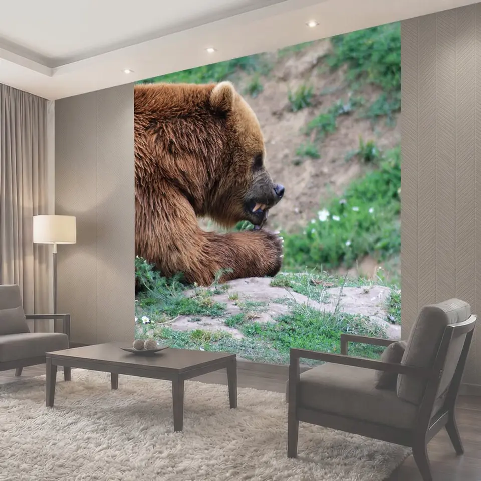 Фотообои Бурый медведь, подача, опасный