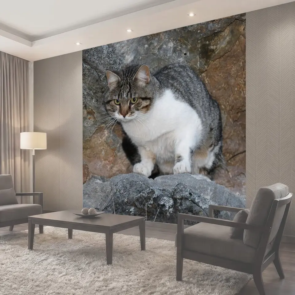 Фотообои Кот, кошачий, горные породы