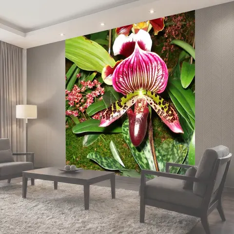 Фотообои Орхидея, paphiopedilum, paphio