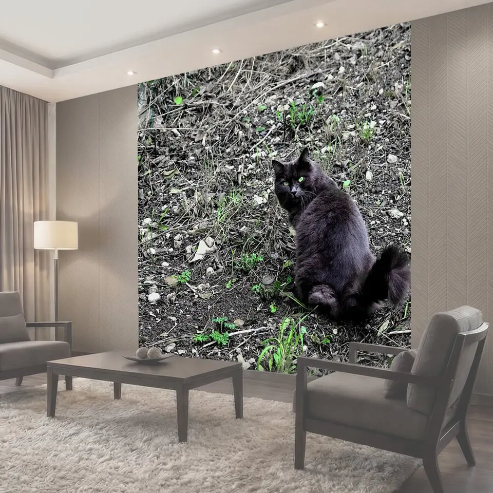 Фотообои Кошки, черный кот, кошачьи