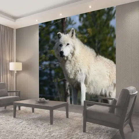 Фотообои Волк, canis волчанка, йеллоустонский национальный парк