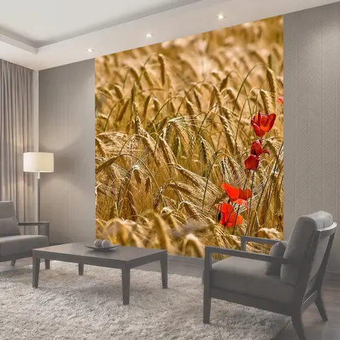 Фотообои Кукурузное поле, кукурузный мак, расцветает