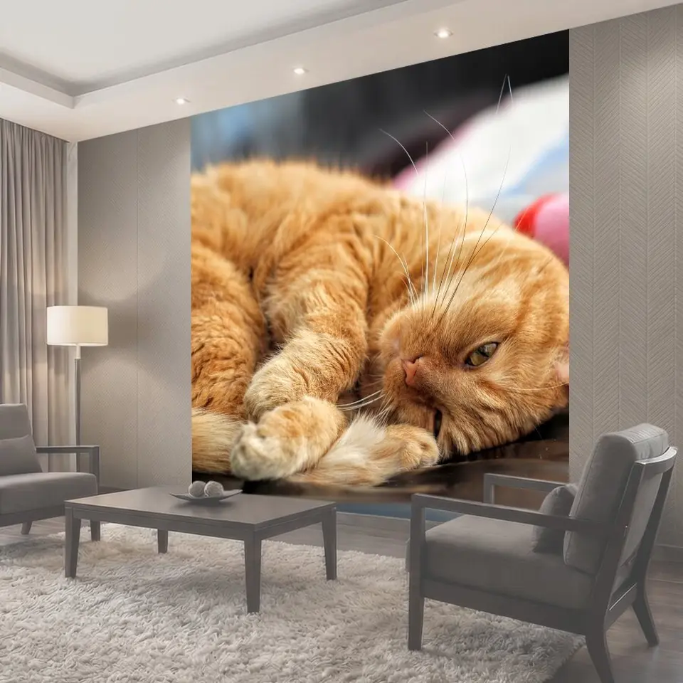 Фотообои Кот, рыжий кот, котенок