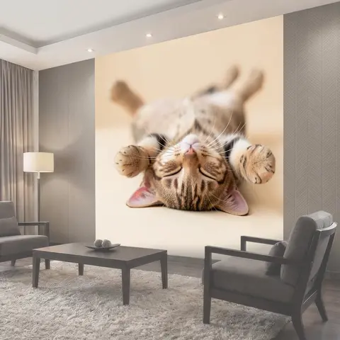 Фотообои Полосатый котенок вверх лапками