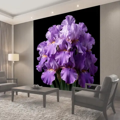 Фотообои Фиолетовые ирисы на черном фоне