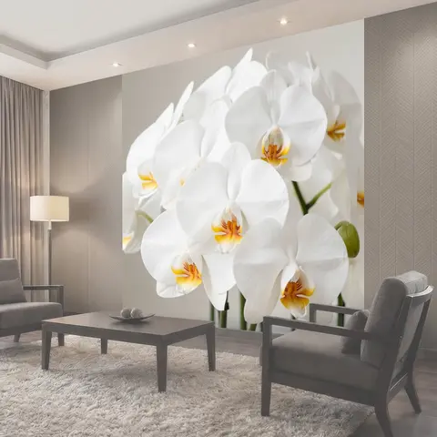 Фотообои Белые орхидеи крупным планом