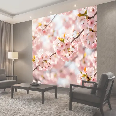 Фотообои Розовое цветение сакуры