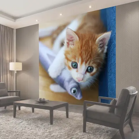Фотообои Кот, детские кот, кошка